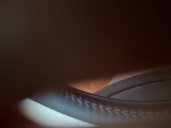 -靓靓蒸虾·头牌蒸虾(雪松路总店)
