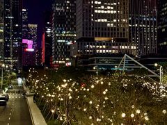 -深圳湾万象城(南山店)