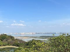 -广州莲花山旅游区
