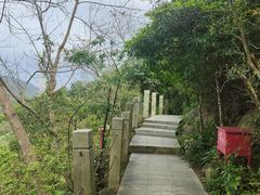 -小南山公园