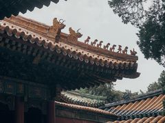 -故宫博物院(故宫)