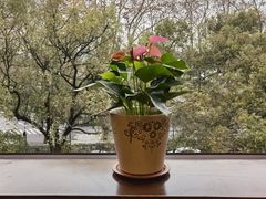 -杭州香格里拉·香宫中餐厅