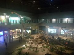 -自贡恐龙博物馆