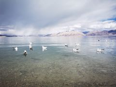 -班公湖