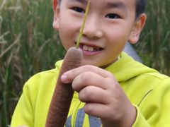 -昆山城市生态森林公园