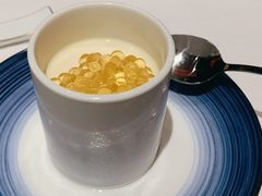 龙井双皮奶-东富酒家(龙湖西溪天街店)