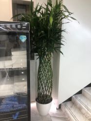 -悟空祛痘·诺奖技术专业店