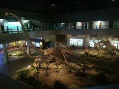 -自贡恐龙博物馆