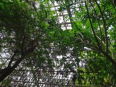 -呀路古热带植物园