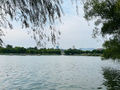 -济南大明湖景区