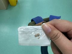 -北京观赏动物医院·24小时大型综合·猫专科·异宠专科