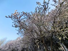 -神木二郎山风景区