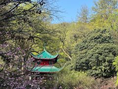 -岳麓山风景名胜区