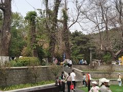 -燕塞湖鸟语林景区