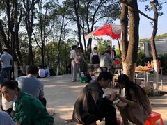 -火炉山森林公园