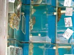 水产区-大城·烧烤海鲜大排档(台东店)
