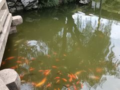 -常熟方塔园