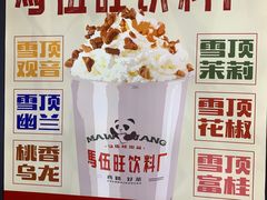 -马伍旺饮料厂(将军大道店)