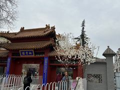 -桃花堤公园
