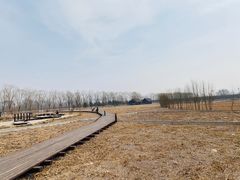 -永定河休闲森林公园