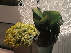 -浅深(世茂滨江精品店)