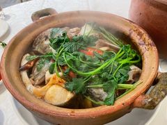 鱼头啫啫煲-光头匠