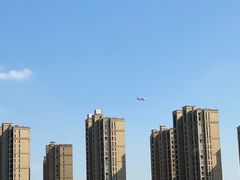 -映月湖中央公园
