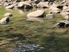 -鹿亭中村