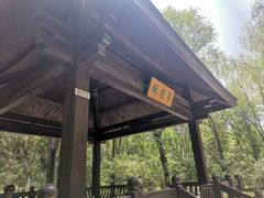 -大兴滨河森林公园