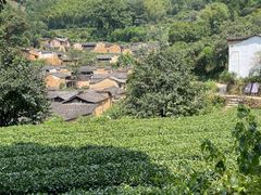 -杨家堂村
