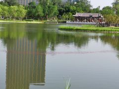 -西海子公园