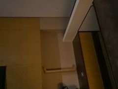 -西安赛瑞喜来登大酒店