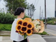 -三圣花乡旅游区