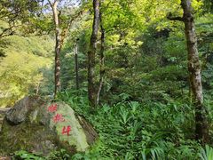 -西岭雪山大飞水景区
