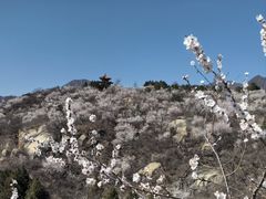 -白水寺森林公园