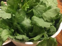 茼蒿-重庆老火锅(长虹店)