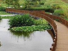 -五甲塘生态湿地公园