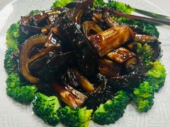 葱烧海参-柳荷居·百年鲁菜(奥体中心店)