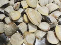 白贝-大良毋米粥(锦龙路总店)