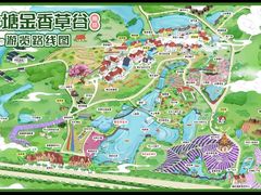 -大塘金香草谷
