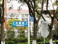 -高东镇樱花园