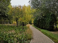 -渤海大学(松山校区)