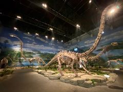 -自贡恐龙博物馆