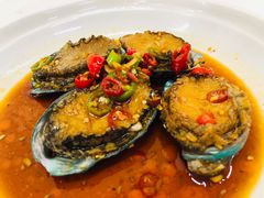 捞汁鲍鱼-雅逸居海鲜小厨