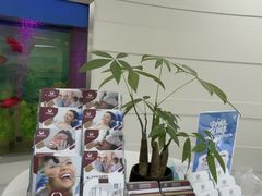 -雅悦齿科(顾村公园店)