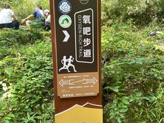 -牛背梁国家森林公园