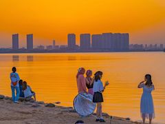 -瑶湖郊野森林公园