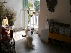 -小时光咖啡馆(北锣鼓巷店)