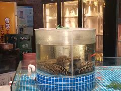 -老灶堂文创火锅(文艺路店)