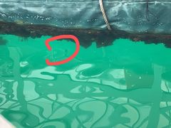 -深圳海钓·深圳钓鱼·拓展聚会鱼排